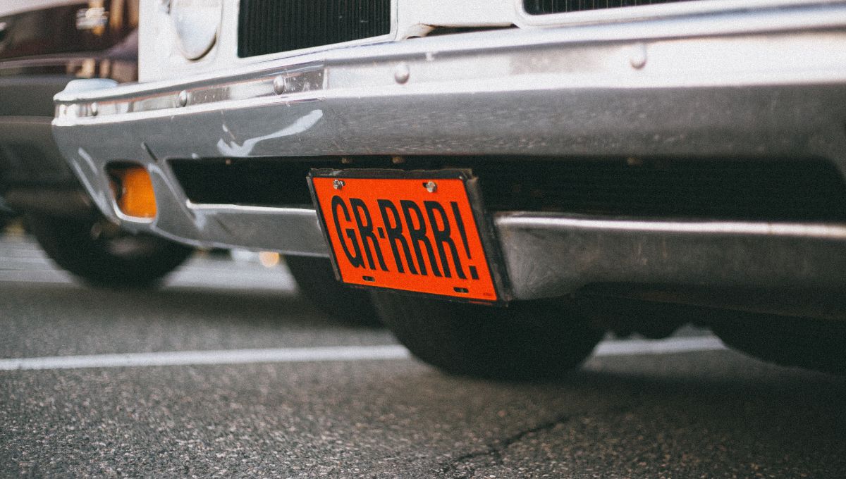 portaplacas permitidos en la Ciudad de México
